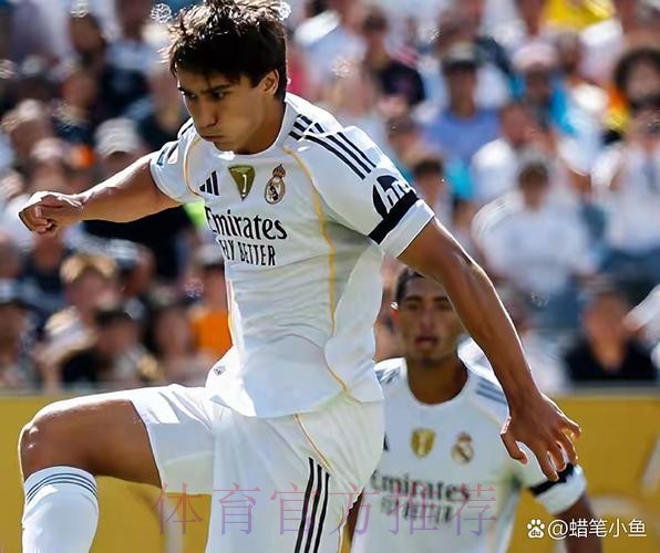 博斯克谈阿隆索执教皇马:他配得上这个机会 博斯克谈阿隆索执教皇马:他配得上这个机会