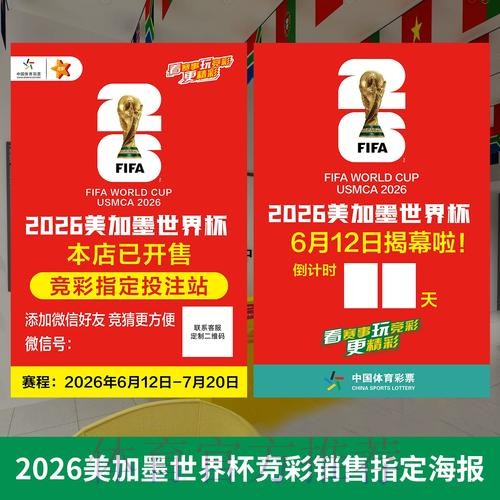 世界杯投注指南：顶尖预测专家的建议